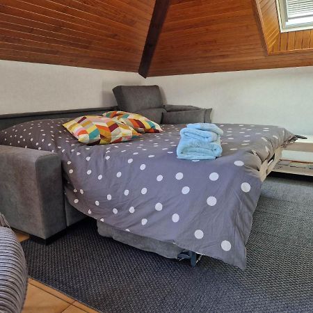 Appartement L'Ecole Buissonniere à Dabo Extérieur photo